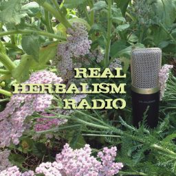 Artwork for Real Herbalism Radio | Herbalism | Plant Medicine | Botany | Wild Crafting