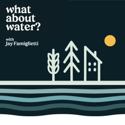 Artwork for What About Water? with Jay Famiglietti