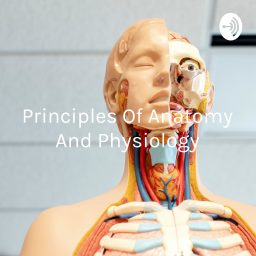 Artwork for Principles Of Anatomy And Physiology: Introduction To The Human Body