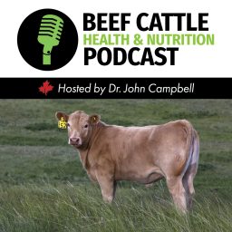 Artwork for The Beef Cattle Health and Nutrition Podcast