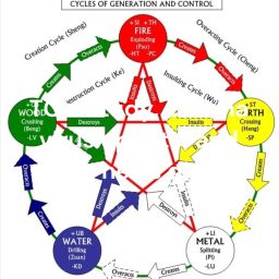 Artwork for Learn Traditional Chinese Medicine, Functional Medicine and any kinds of Alternative Medicine