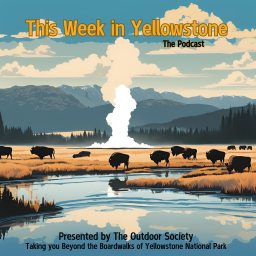 Artwork for This Week in Yellowstone National Park