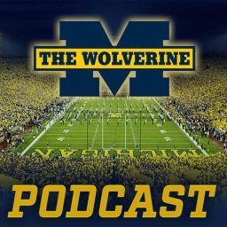 Artwork for The Wolverine Podcast