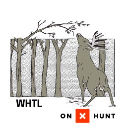 Artwork for The WHTL Podcast - Whitetail Deer Hunting Tactics, Stories & Expert Guests