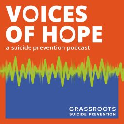 Artwork for Voices of Hope