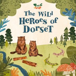 Artwork for The Wild Heroes of Dorset
