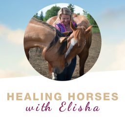Artwork for Healing Horses with Elisha