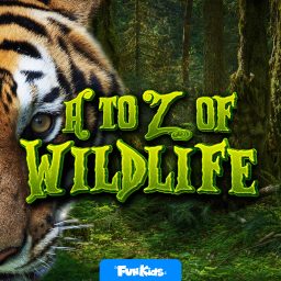 Artwork for A to Z of Wildlife for Kids
