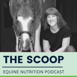 Artwork for The Scoop: Equine Nutrition Podcast