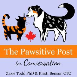Artwork for The Pawsitive Post in Conversation by Companion Animal Psychology