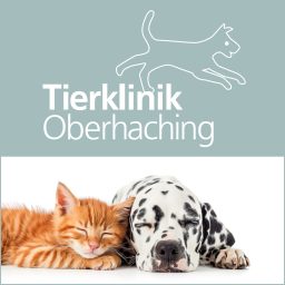 Artwork for Tierisch gesund – Medizin, Tipps und Geschichten aus der Tierklinik Oberhaching