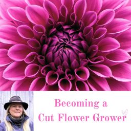 Artwork for Becoming a Cut Flower Grower
