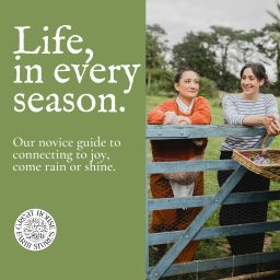 Artwork for Life, in every season.