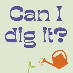 Artwork for Can I Dig It? - Food Growing for Busy People
