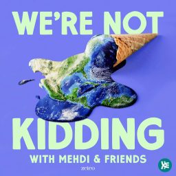Artwork for We're Not Kidding with Mehdi & Friends