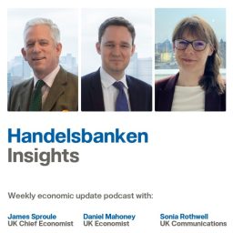 Artwork for Handelsbanken Insights Economic Update