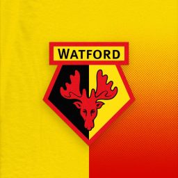 Artwork for Watford FC Official Podcast