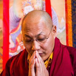 Artwork for BodhiHeart Podcast with Khenpo Sherab Sangpo