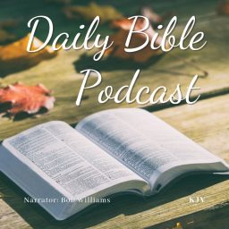 Artwork for Listen To The Bible In A Year - KJV