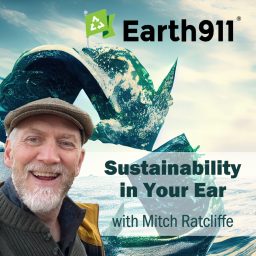 Artwork for Sustainability In Your Ear
