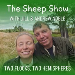 Artwork for The Sheep Show Podcast with Jill & Andrew Noble