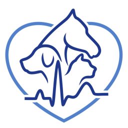 Artwork for The Animal Heartbeat