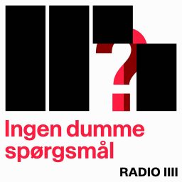 Artwork for Ingen dumme spørgsmål