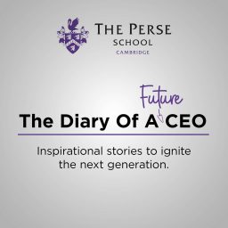Artwork for The Diary of a Future CEO