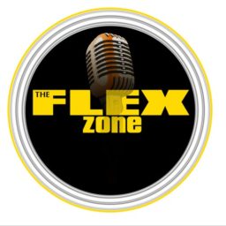 Artwork for The Flex Zone All in Podcast