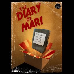 Artwork for Use This As You See Fit: The Diary of Mari