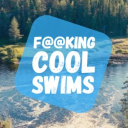 Artwork for F@@king Cool Swims