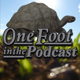 Artwork for One Foot in the Podcast - One Foot in the Grave