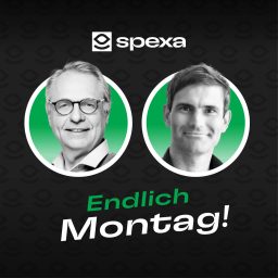 Artwork for Endlich Montag! Das Geheimnis gesunder und erfolgreicher Unternehmen