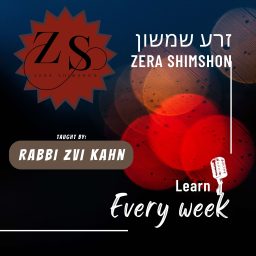 Artwork for Zera Shimshon on the Weekly Parsha