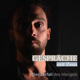 Artwork for Gespräche mit Zeus - Der Zerfall des Mangels