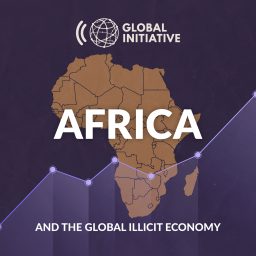 Artwork for Africa and the Global Illicit Economy