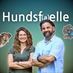 Artwork for Hundsfaelle - der Hundepodcast für Ersthundebesitzer bis Profis
