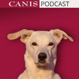 Artwork for Der CANIS-Podcast – Hundeexpert:innen ausgefragt