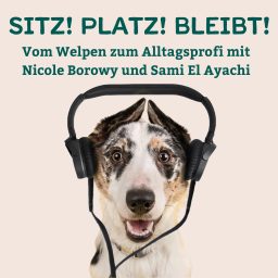 Artwork for Sitz! Platz! Bleibt! - der Hundepodcast mit Nicole Borowy und Sami El Ayachi