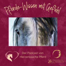 Artwork for Pferde-Wissen mit Gefühl - Der Podcast von Herzenssache Pferd