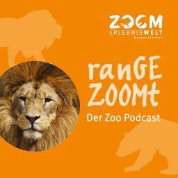 Artwork for ranGEZOOMt - Der Podcast aus der ZOOM Erlebniswelt