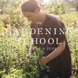 Artwork for The Gardening School