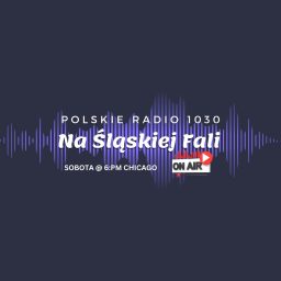 Artwork for Radio Na Śląskiej Fali Chicago
