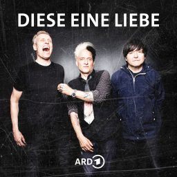Artwork for Diese eine Liebe - 40 Jahre Die Ärzte