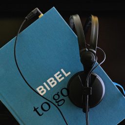 Artwork for Bibel to go. Die Lesungen des Tages