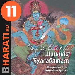 Artwork for Аудиокнига "Шримад Бхагаватам". Книга 11: "Исход"