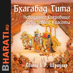 Artwork for Аудиокнига "Бхагавад Гита"