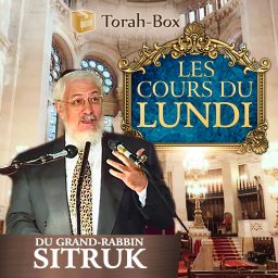 Artwork for Les cours du lundi du Grand Rabbin Sitruk