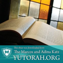 Artwork for YUTORAH: R' Aryeh Lebowitz -- Recent Shiurim
