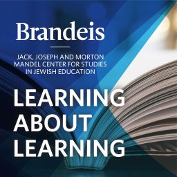 Artwork for Learning About Learning: Conversations with Scholars of Jewish Education